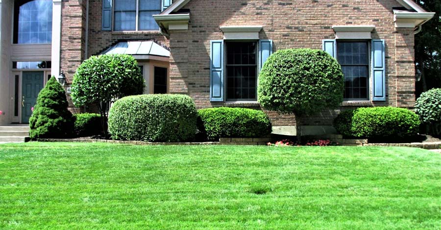 Remodeling, Landscaping and Lawn Care